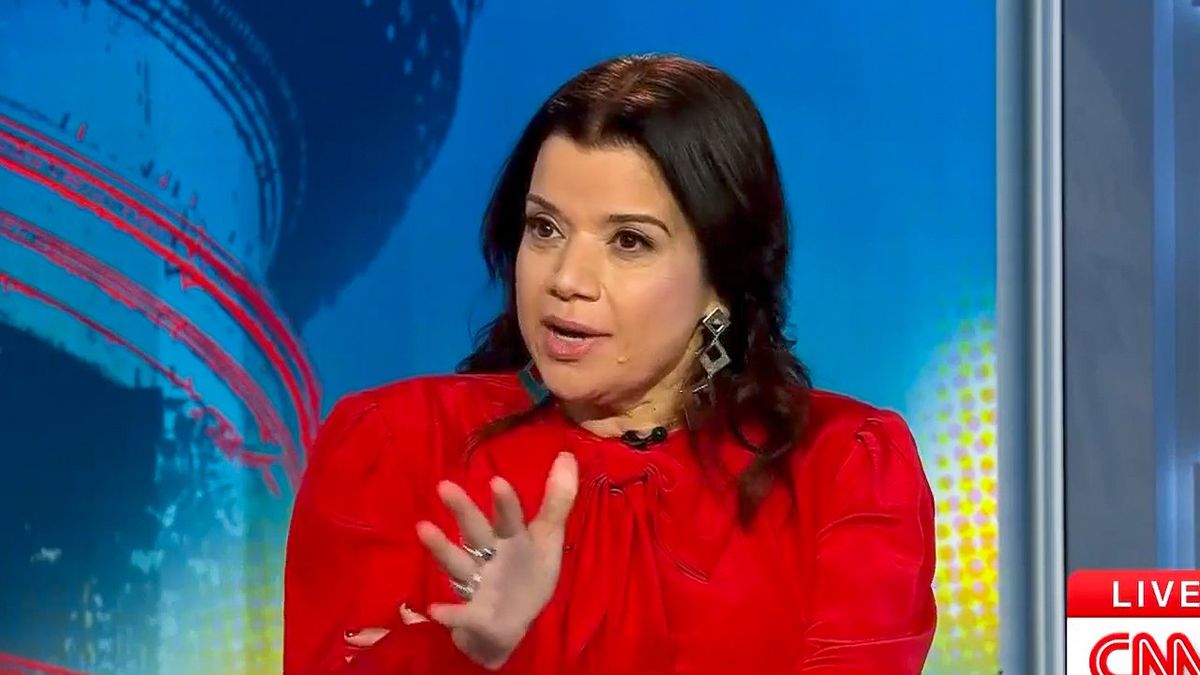 'Who kills a puppy?' CNN panel blasts Kristi Noem's murderous streak