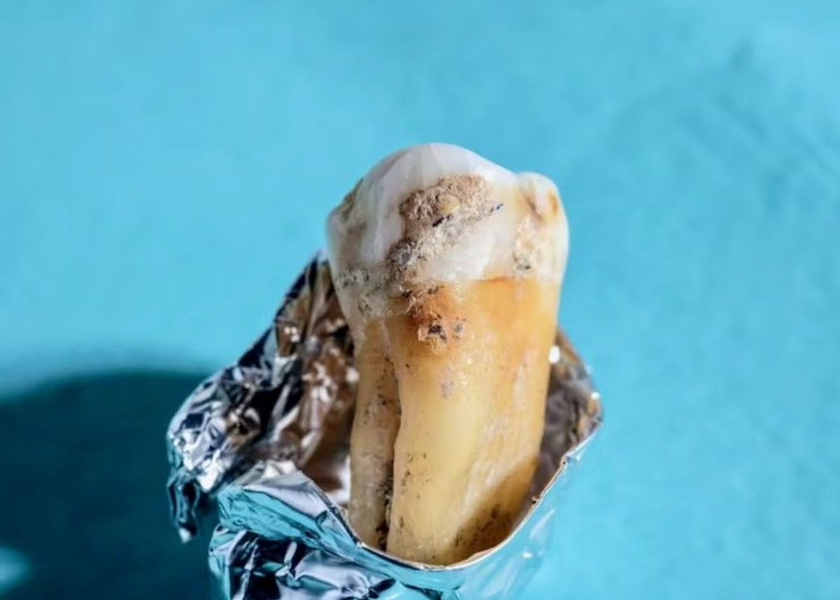 Reconstructing ancient bacterial genomes can revive previously unknown molecules – offering a potential source for new antibiotics