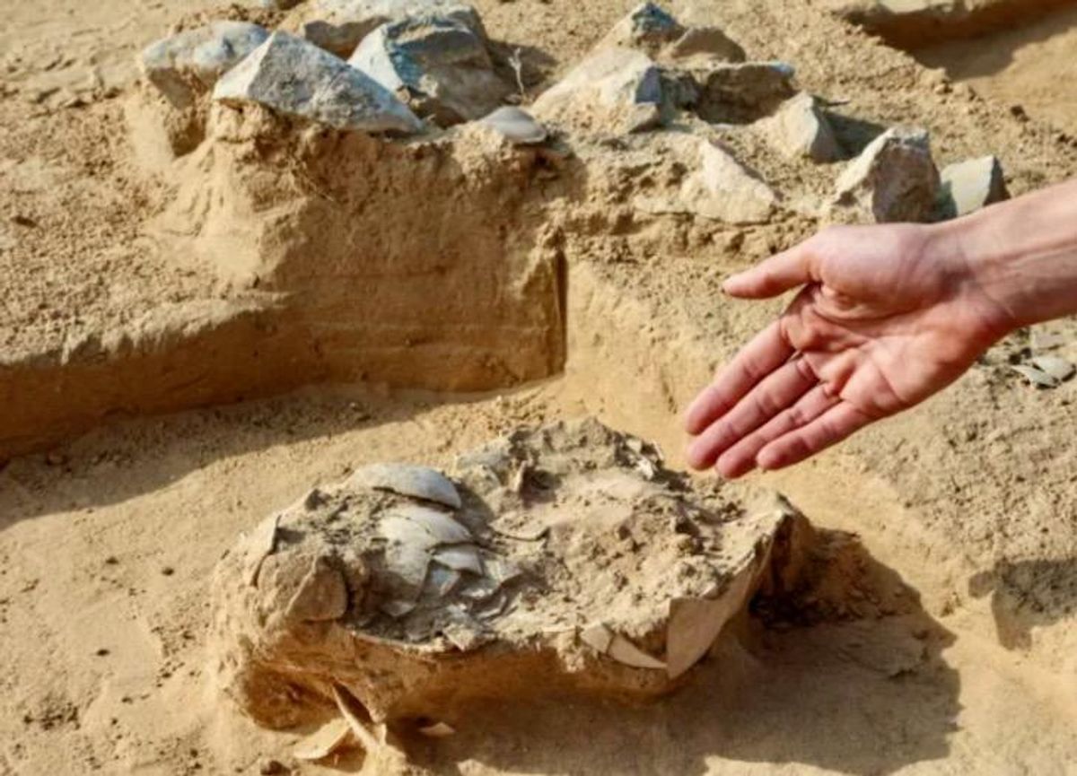 Ancient ostrich eggs found in southern Israeli desert