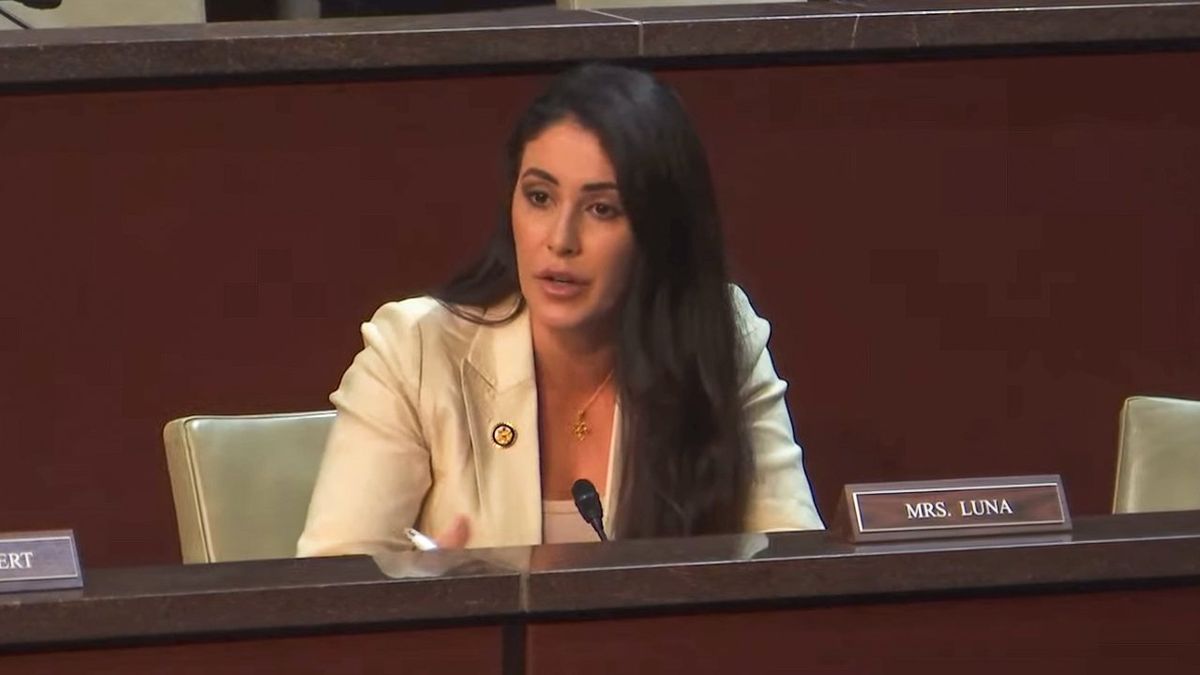 'Superhumans' are 'real concern': Republican's bizarre rant confounds AI experts