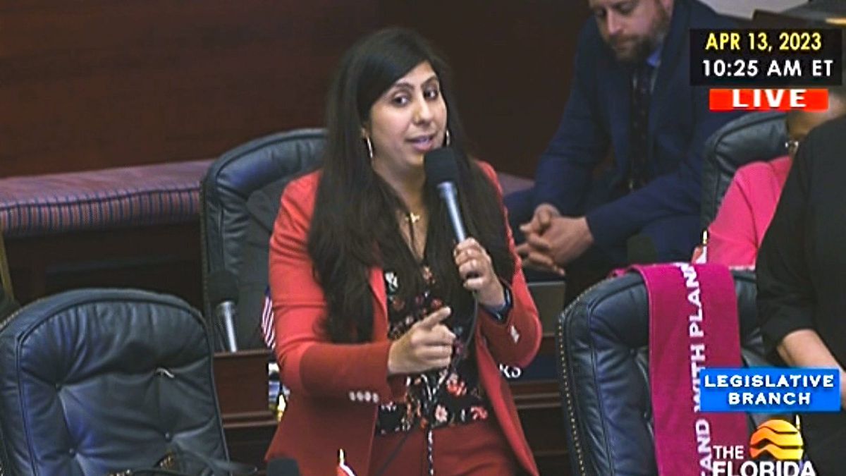 'Forced Pregnancy Act': Dem introduces amendment to rename Florida abortion ban