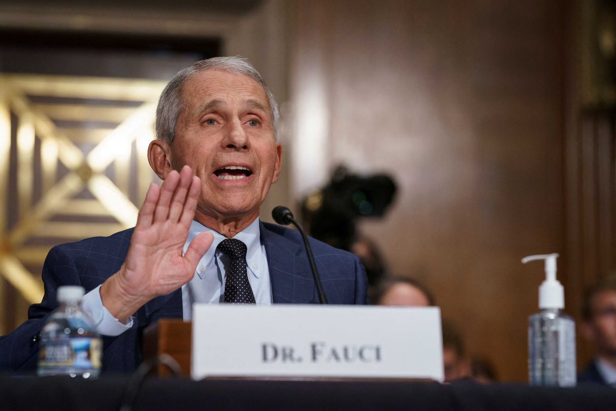 MAGA AG moves to investigate Fauci as Republicans vow revenge for invoking Fifth