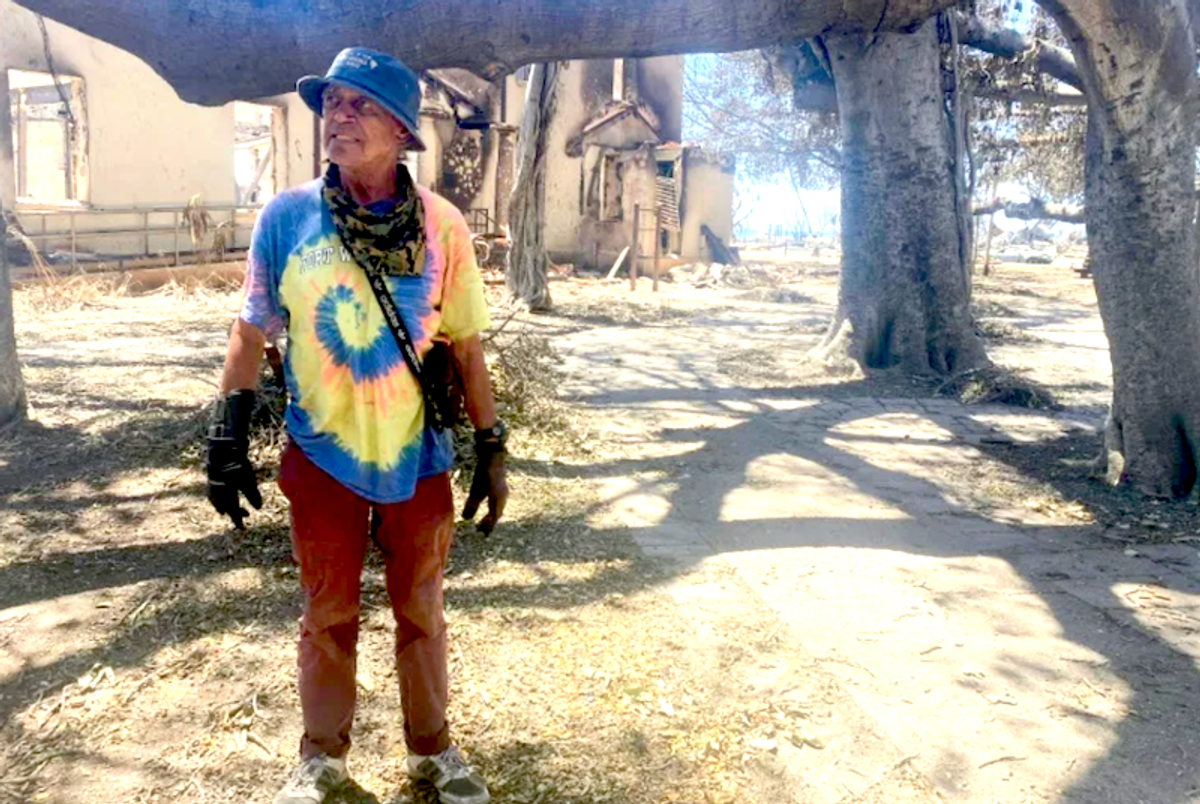Ashes and sadness under scorched Lahaina's banyan tree