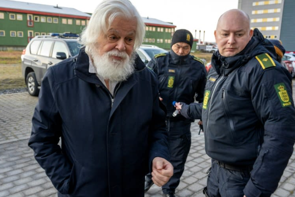 Japan 'regrets' release of anti-whaling activist Watson
