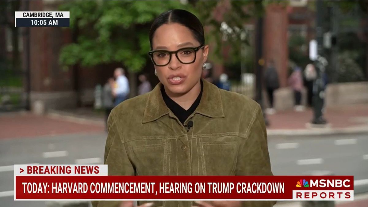 Harvard conservatives 'completely reject' Trump, embrace 'strange hero': report