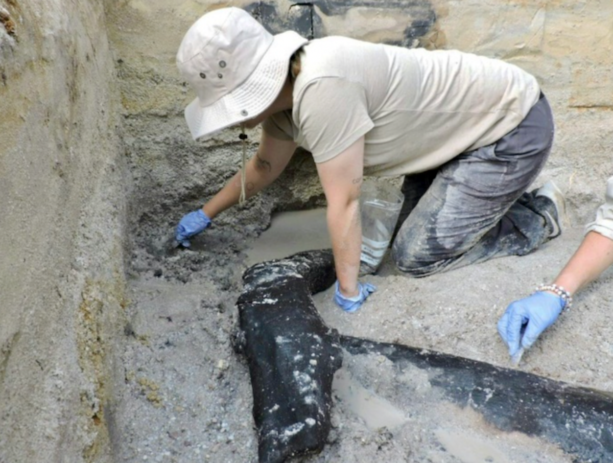 World's oldest wooden structure discovered in Zambia