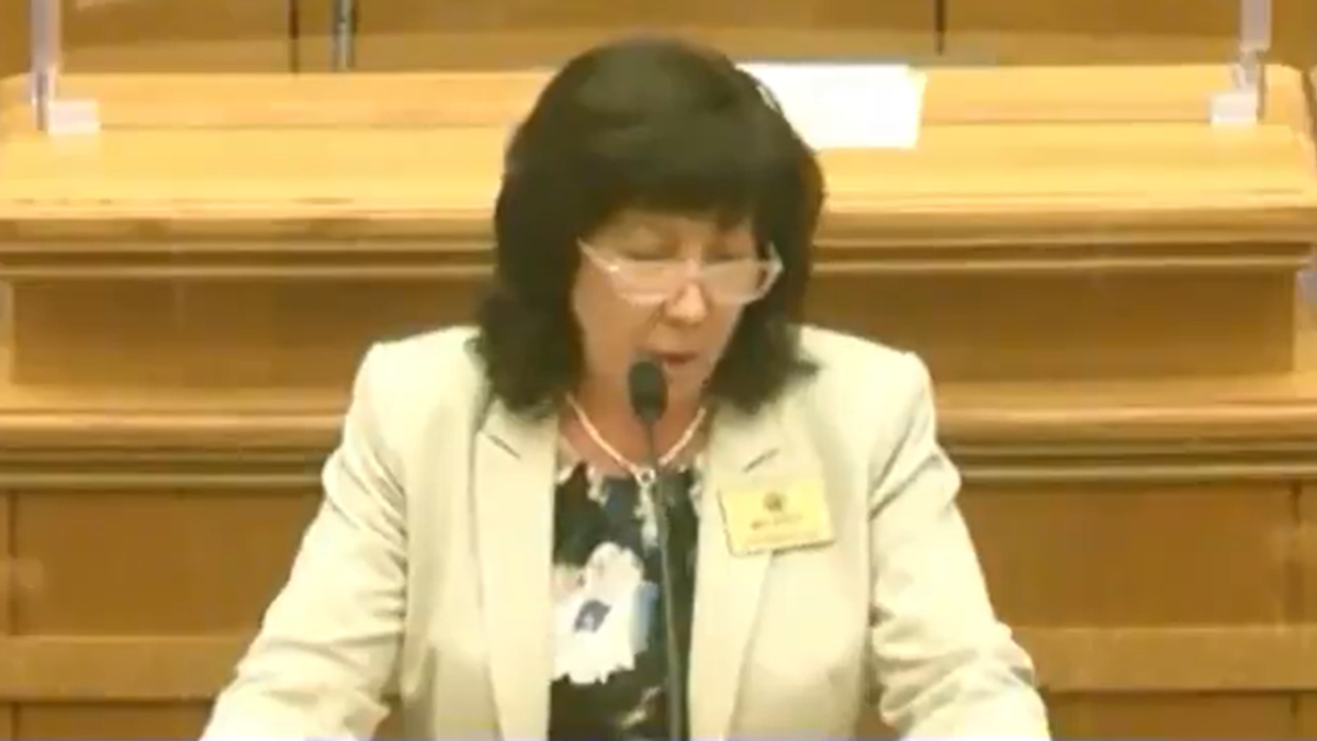 Arkansas Republican quotes Bible to call transgender people ‘abominations’ on the state house floor