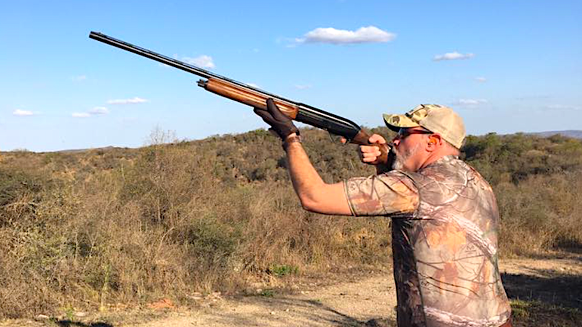 Millionaire gored to death by 'crafty and belligerent' African buffalo he was hunting