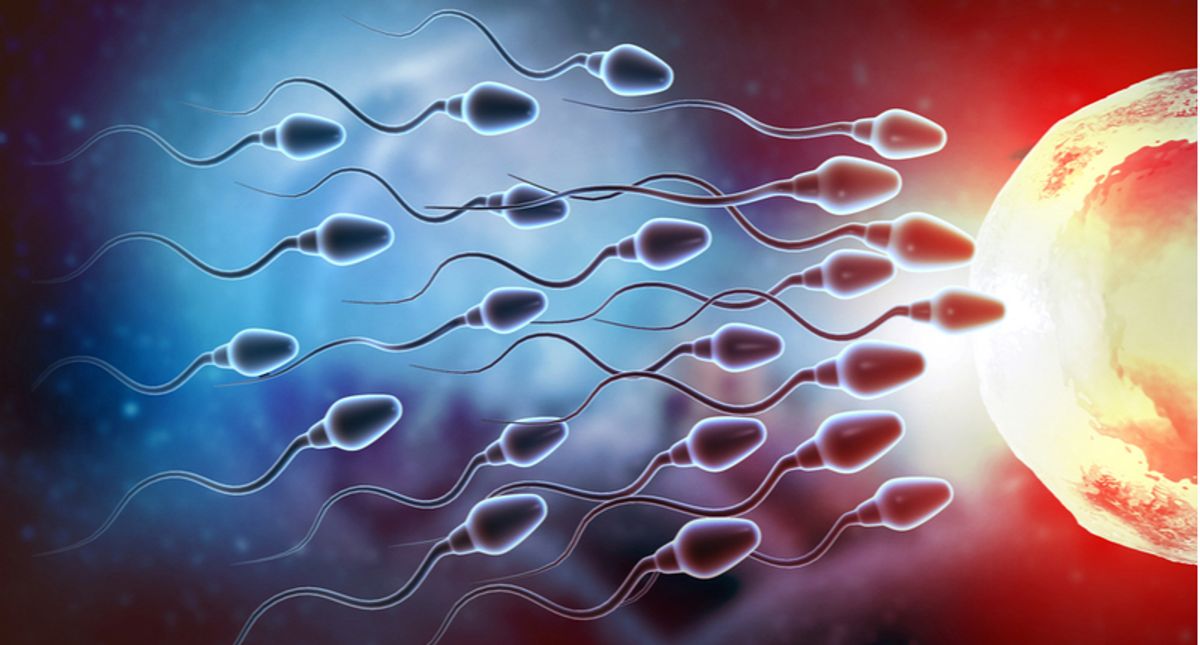 Sluggish sperm can be boosted by ultrasound waves, research shows