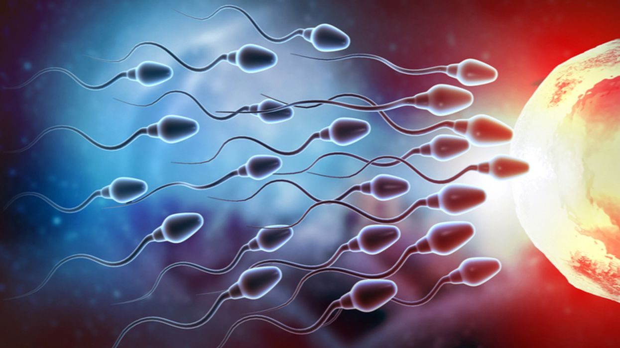 Sluggish sperm can be boosted by ultrasound waves, research shows