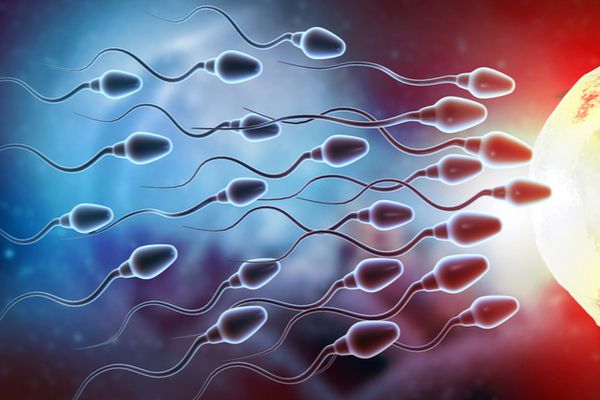 Sluggish sperm can be boosted by ultrasound waves, research shows