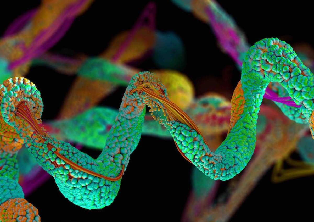 Ever wonder how your body turns food into fuel? We tracked atoms to find out
