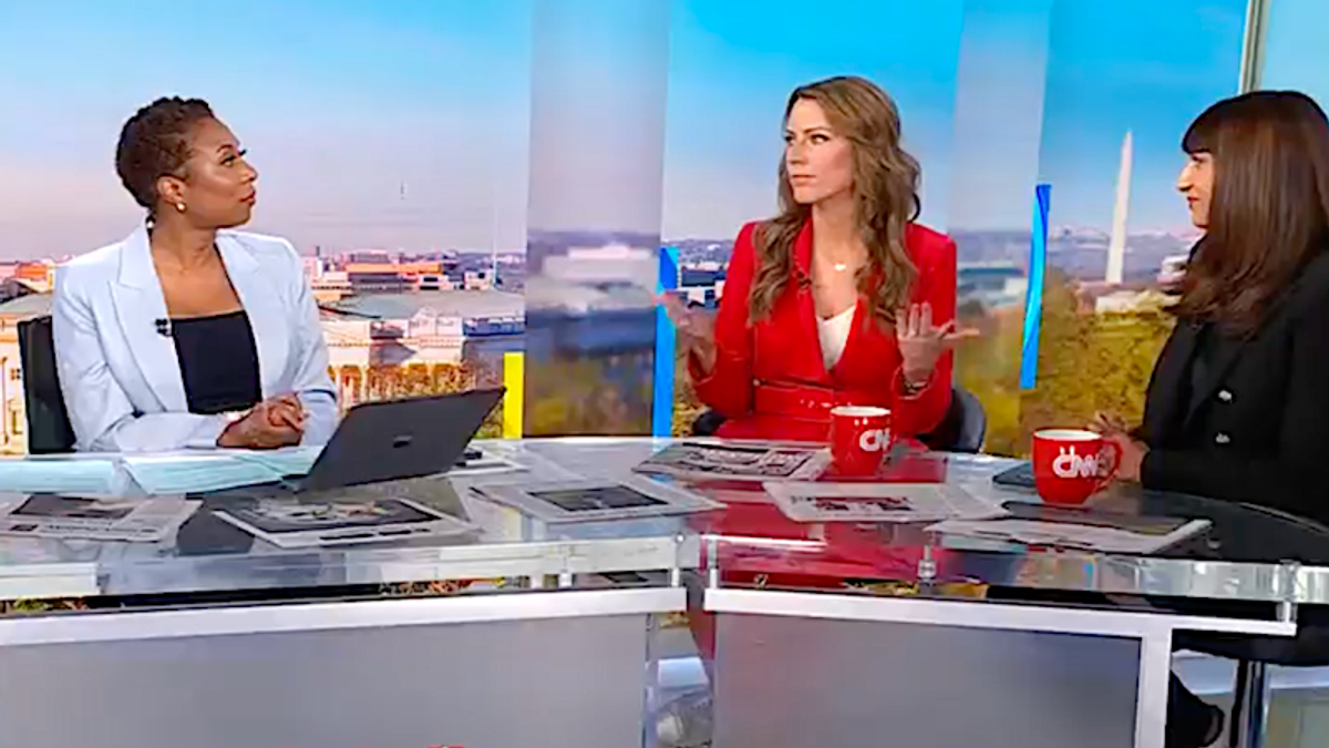 'Whoa!' GOP strategist spirals after her 'influence peddling' analogy falls flat