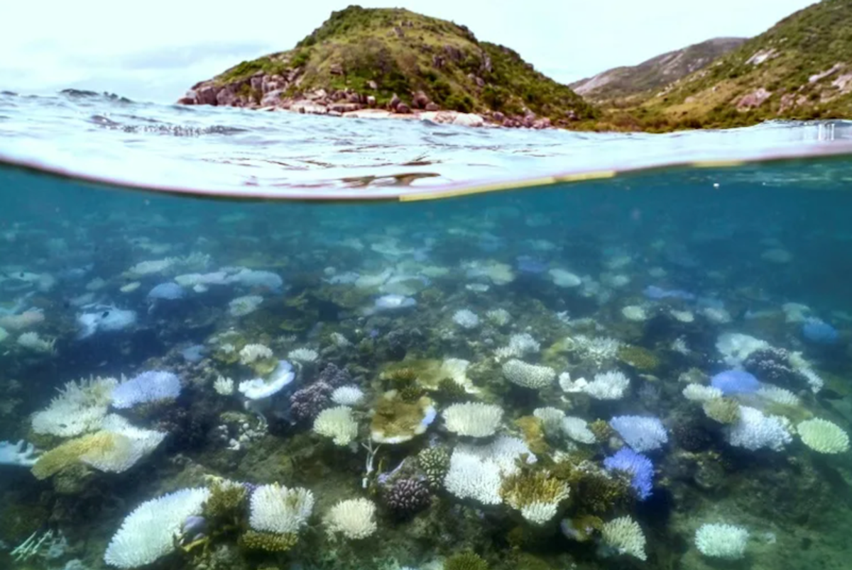Australia tackles poor Great Barrier Reef water quality