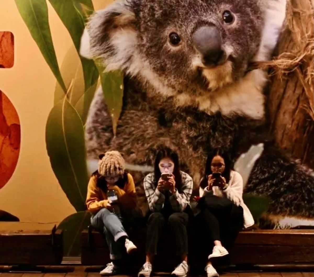 Australia plans age limit to ban children from social media