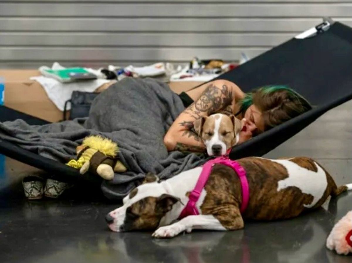 Why American communities are suing Big Oil for climate damages