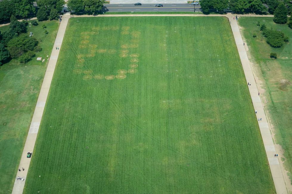 White House blames 'assassination culture' after '86 47' etched into National Mall
