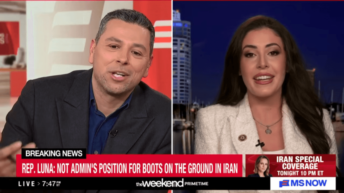 MS NOW panel goes off the rails as MAGA Republican defends Trump's 'war' with Iran