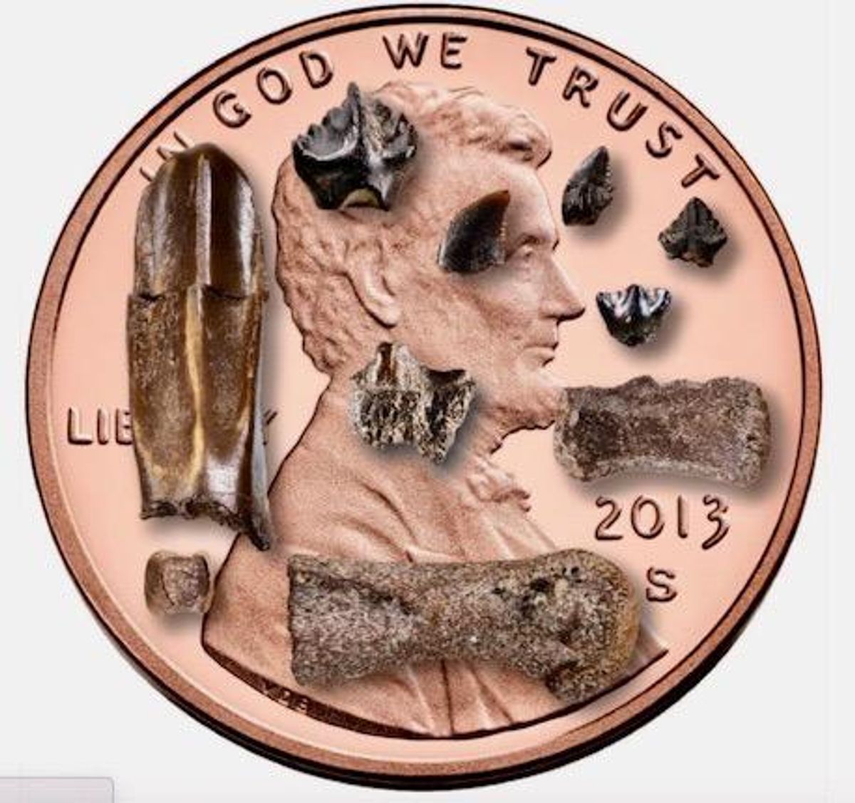 Chill life: Dinosaurs thrived in the ancient Arctic