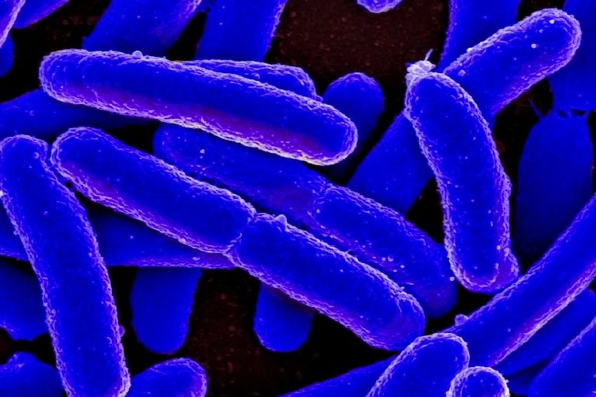 Bacteria can develop resistance to drugs they haven’t encountered before