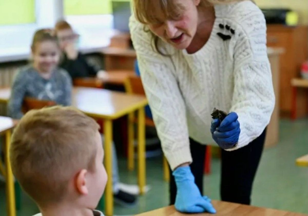 Poland's 'Bat-mum' saving bats from climate change