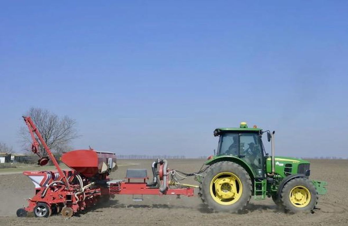 Ukraine wheat harvest set to drop by third: satellite imagery