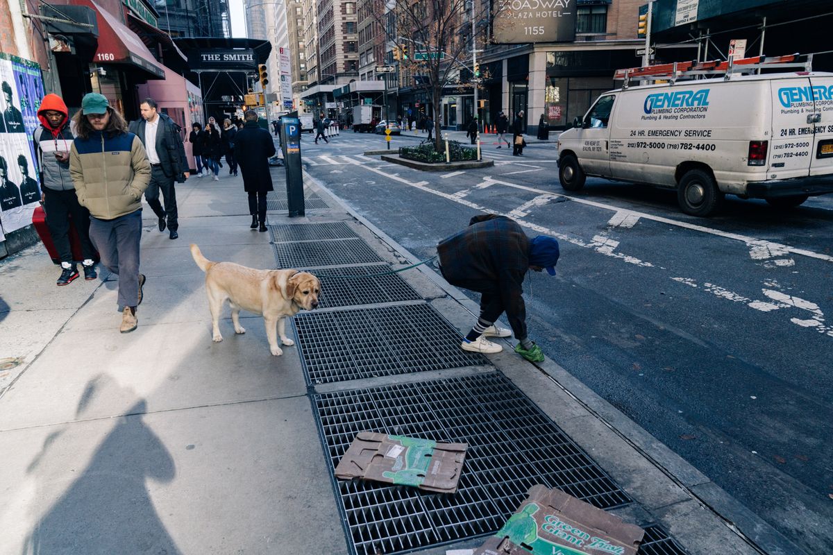 Is leaving dog poo in the street really so bad? The science says it’s even worse than you think
