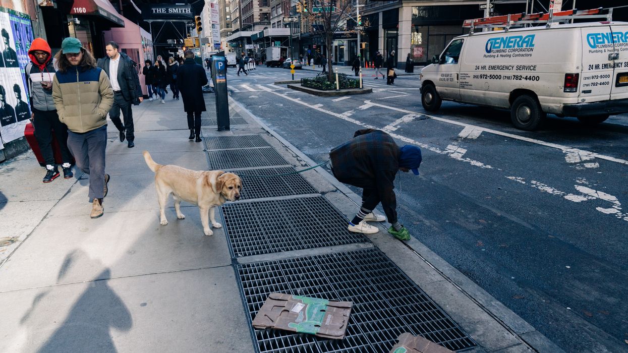 Is leaving dog poo in the street really so bad? The science says it’s even worse than you think