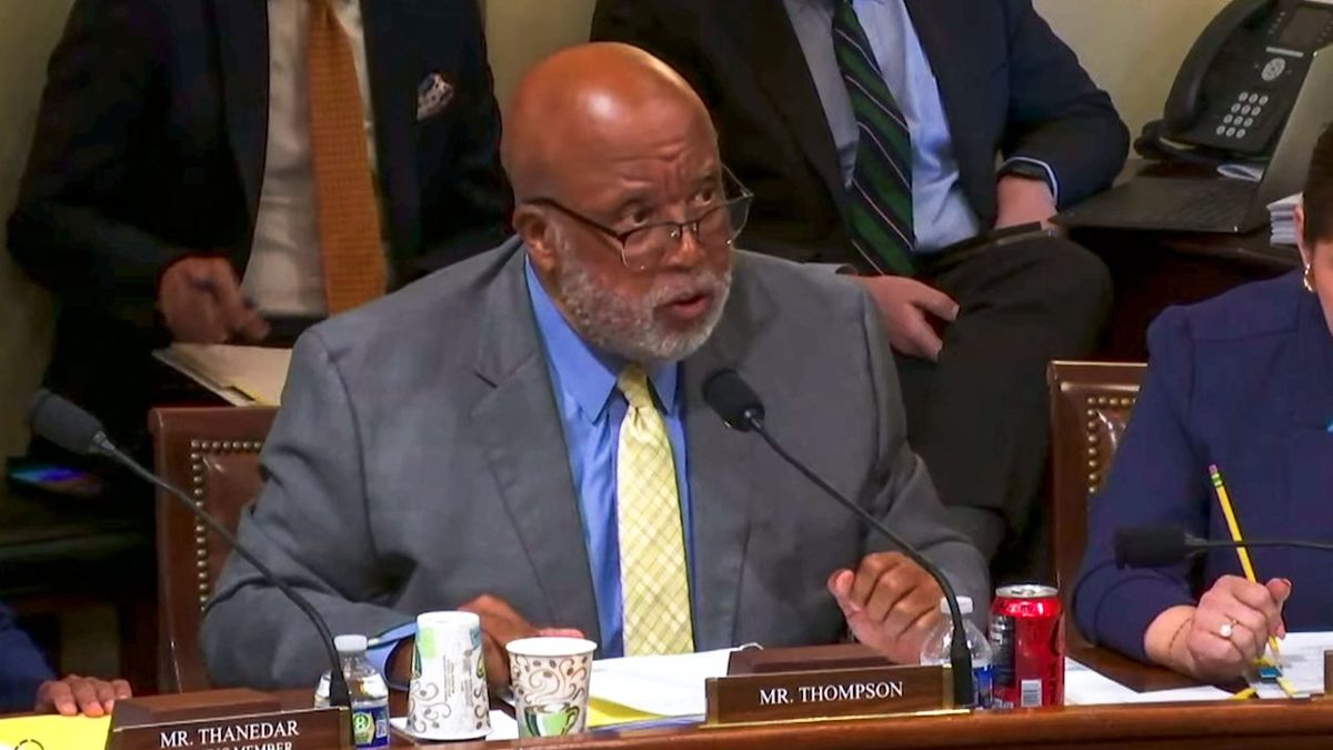 Dem warns 'Orange Jesus' endangered security: 'Elon Musk's DOGE is a homegrown threat'