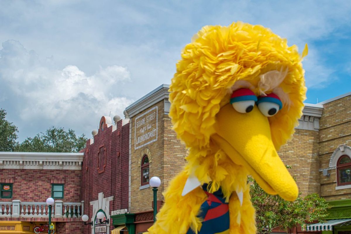 'This is hell': Critics pounce on White House's 'preferred alternative' to PBS in schools