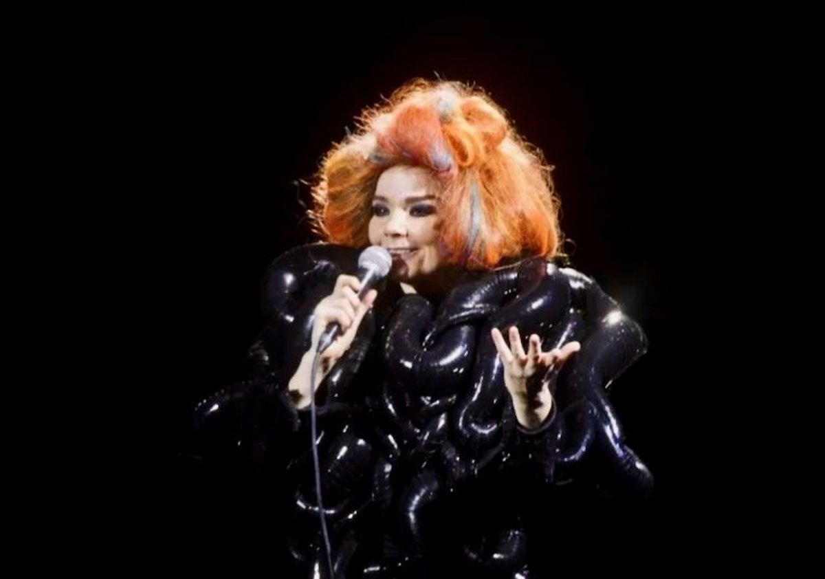 Bjork: 'Musk should build solar-powered festival ships'