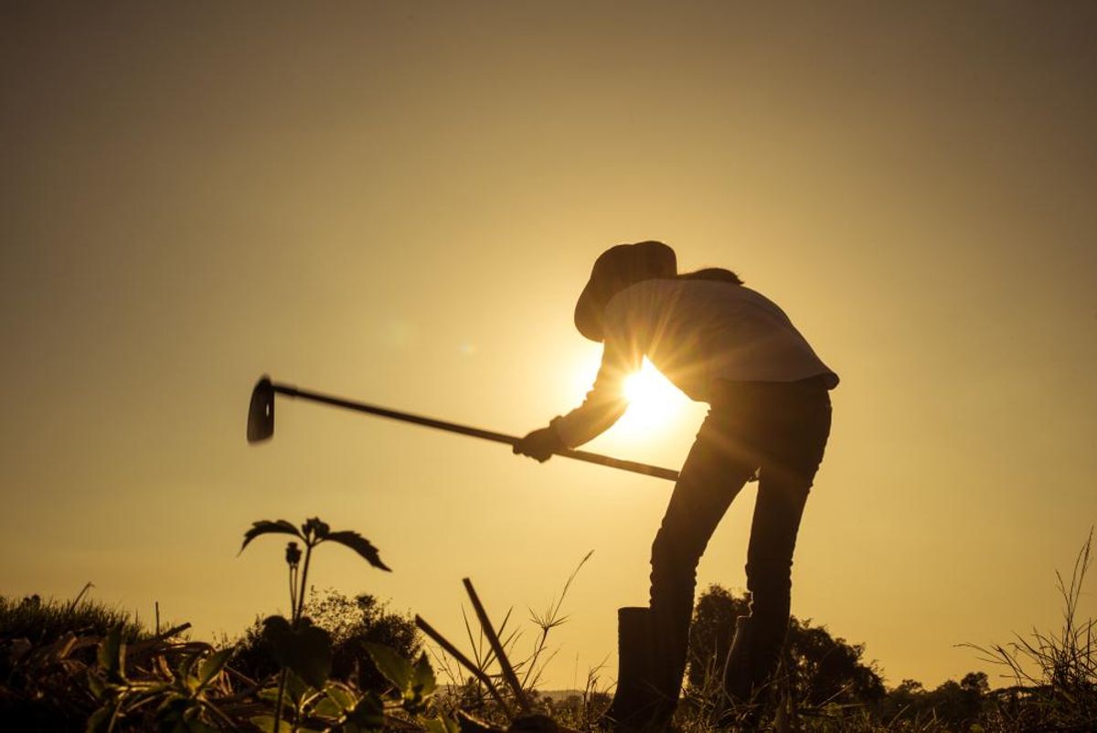 'Anxious' farmers are already 'rethinking' support for Trump: journalist