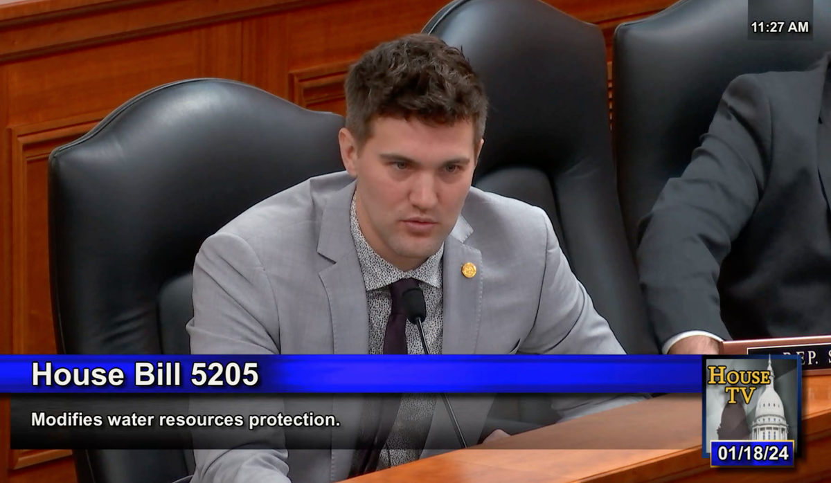 Michigan Republican lawmaker punished for 'blatantly racist' post