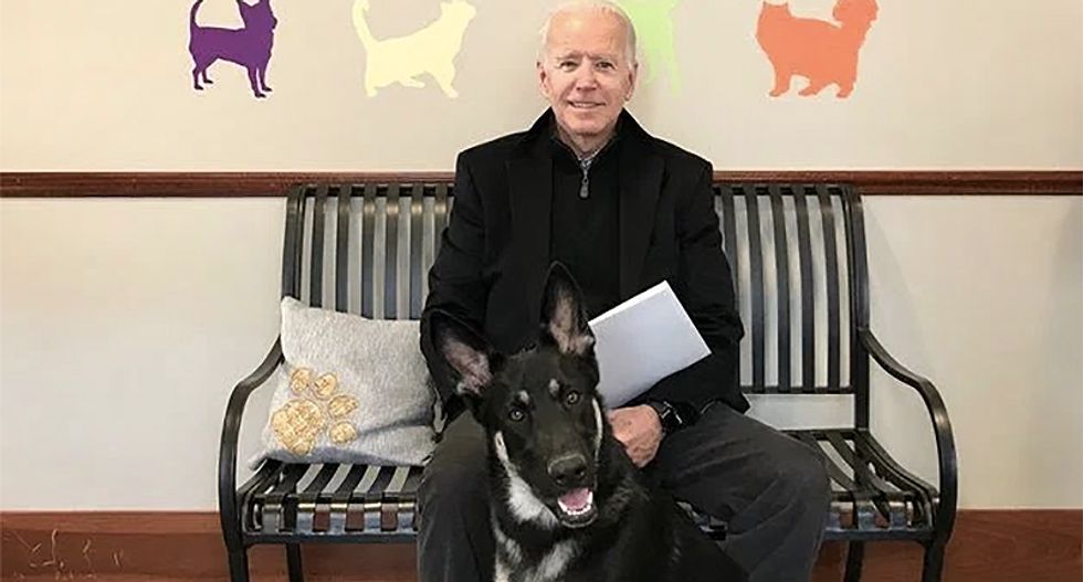Biden 'First Dogs' arrive at White House