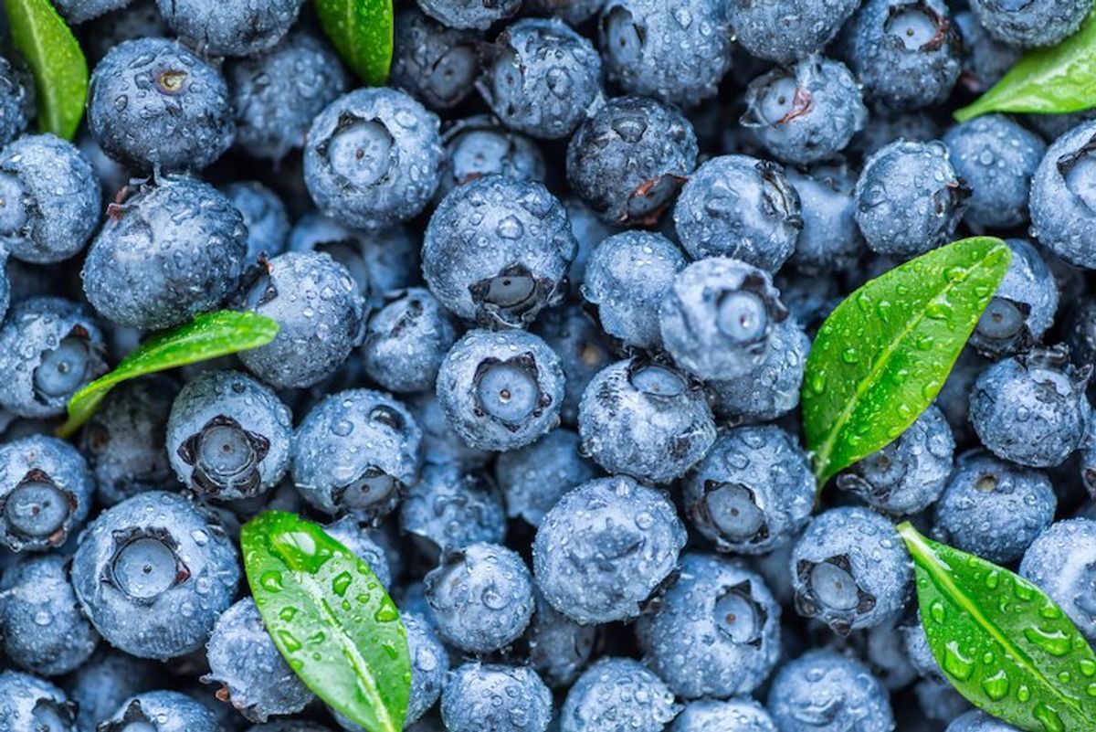 Wild blueberries may improve vascular function and cognitive performance in healthy older adults, study finds