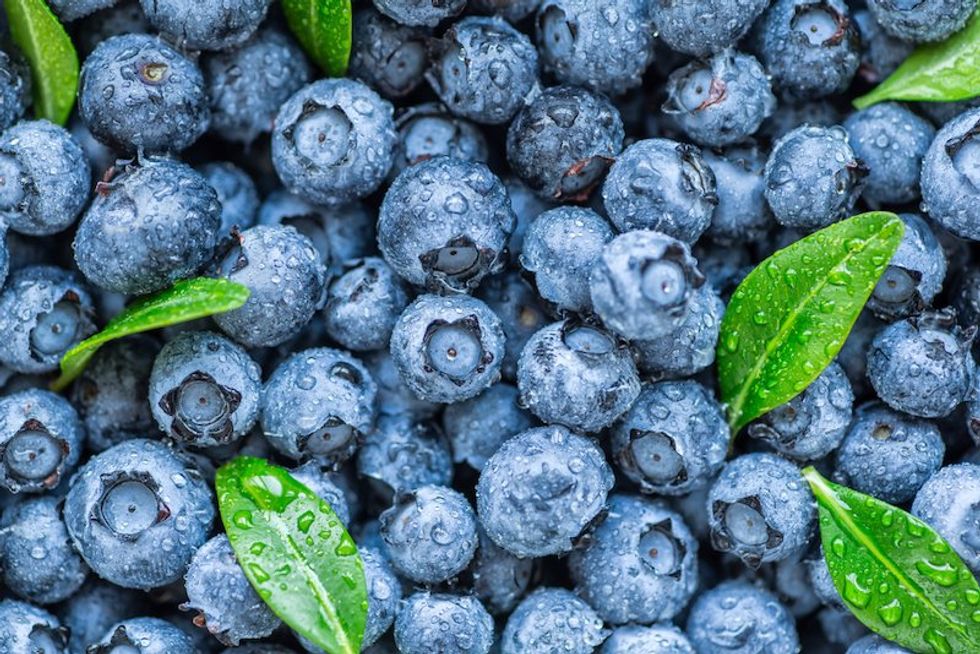 Wild blueberries may improve vascular function and cognitive performance in healthy older adults, study finds