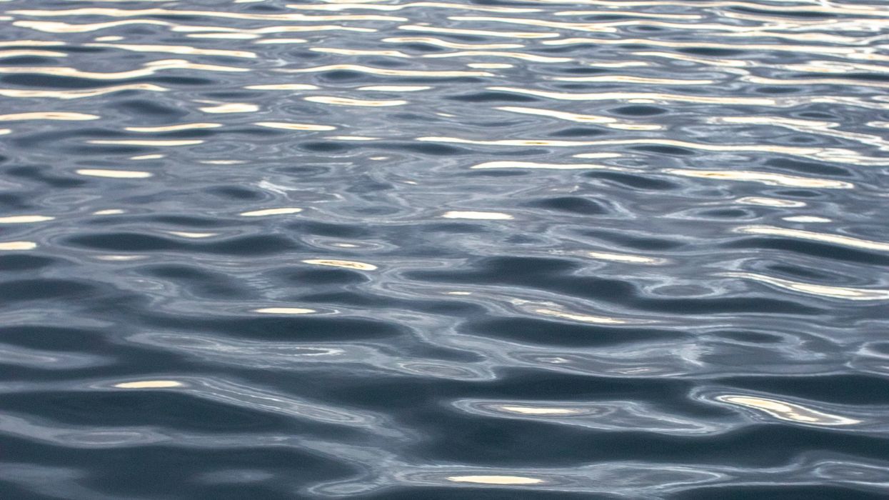 Infant girl among four found dead in Rio Grande