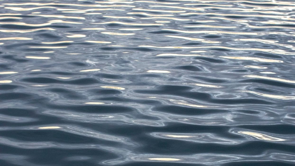Infant girl among four found dead in Rio Grande