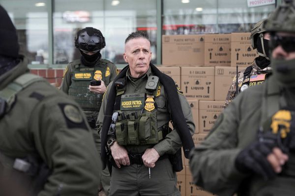 'Pants-on-head whacko': Legal expert tears apart disgraced Trump border chief's lies