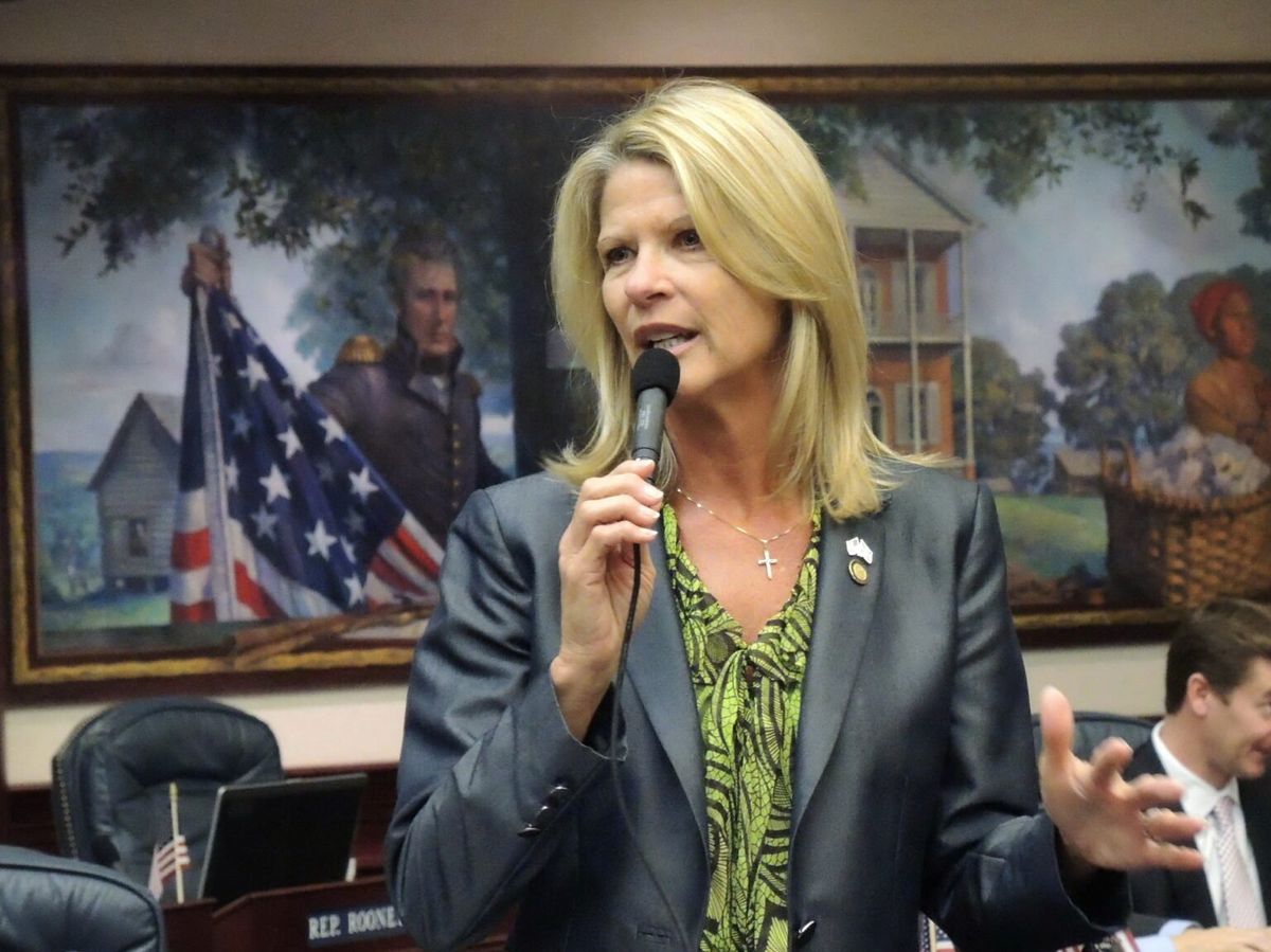 GOP lawmaker urges Florida Supreme Court to overturn disqualification from Senate race