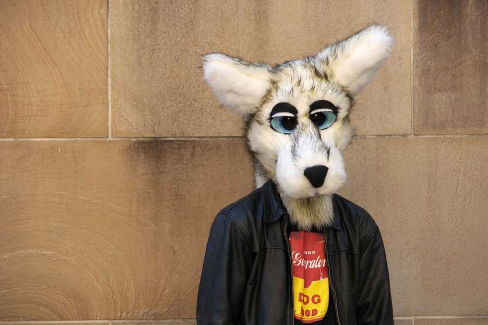 'Is this AI?' Mar-a-Lago's 'creepy' dog mask gala sparks ridicule and Kubrick comparisons