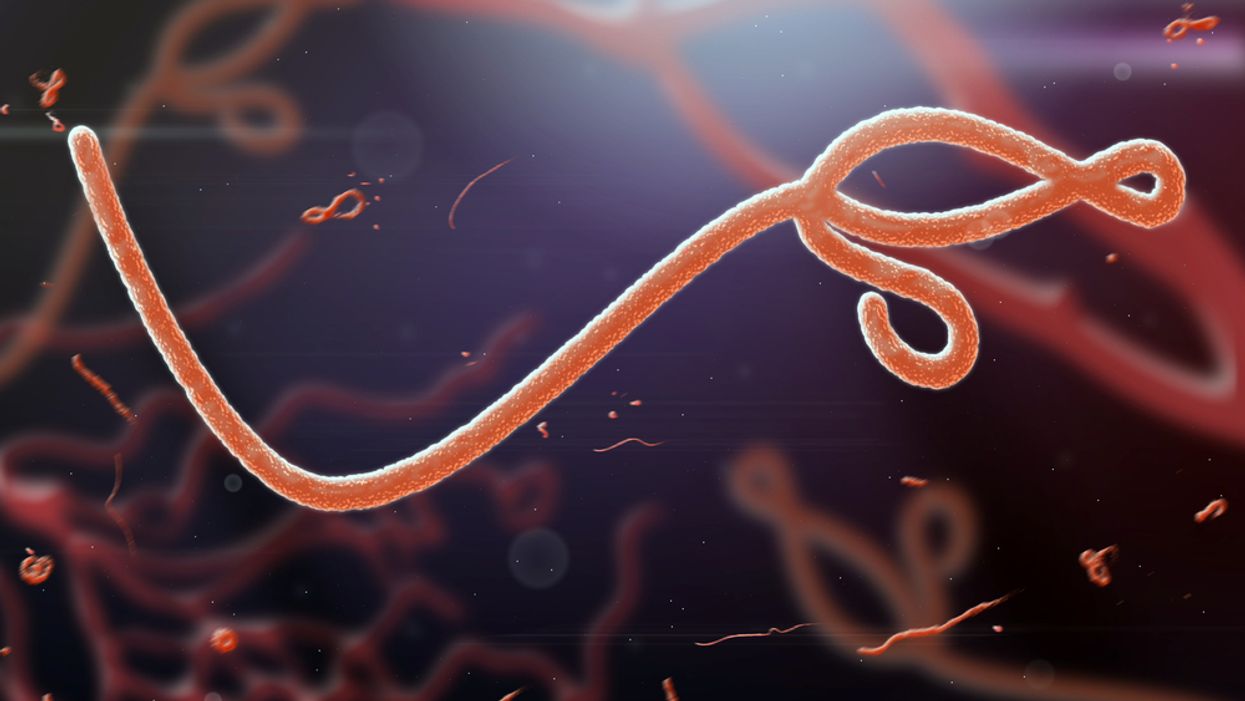 Scientists just identified over 5,500 new viruses in the ocean - including a missing link in viral evolution