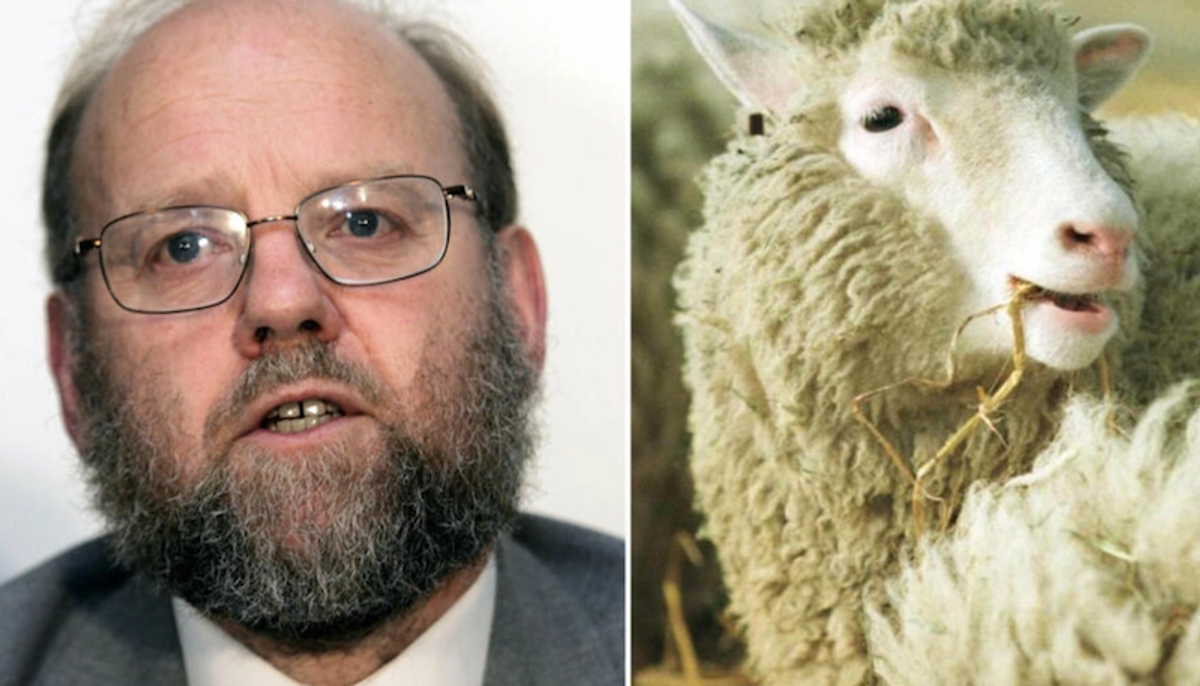 Scientist who led team that created Dolly the cloned sheep dies at 79