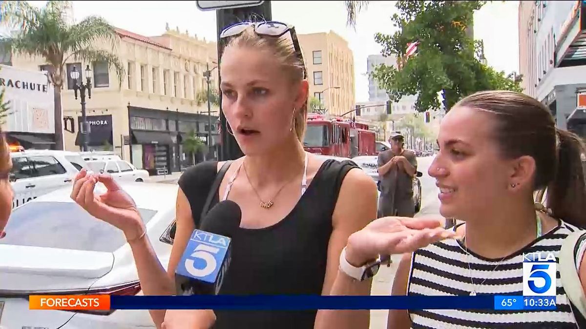 'Don't fancy that today': British tourists react to armed man at LA Apple Store