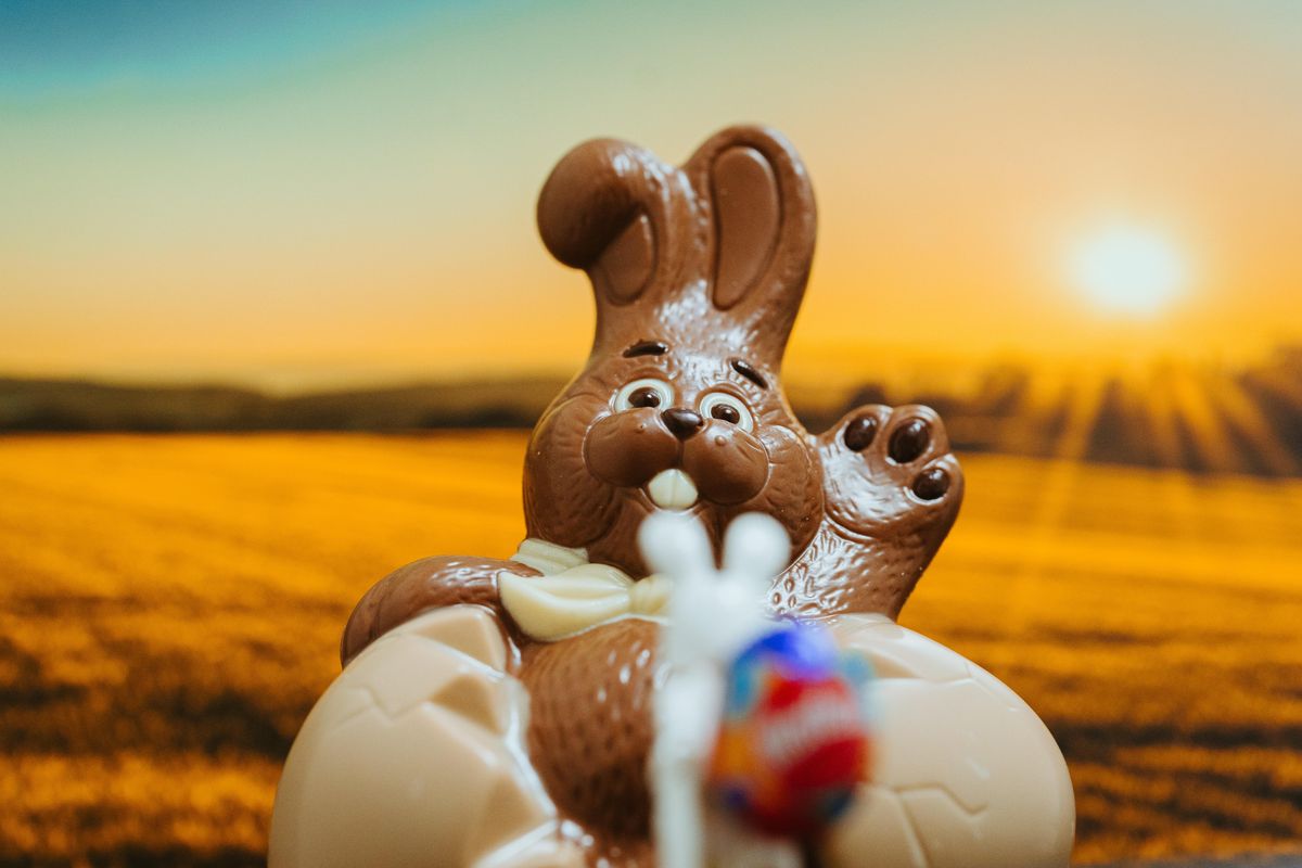 Surprise! There might be salmonella in your chocolate