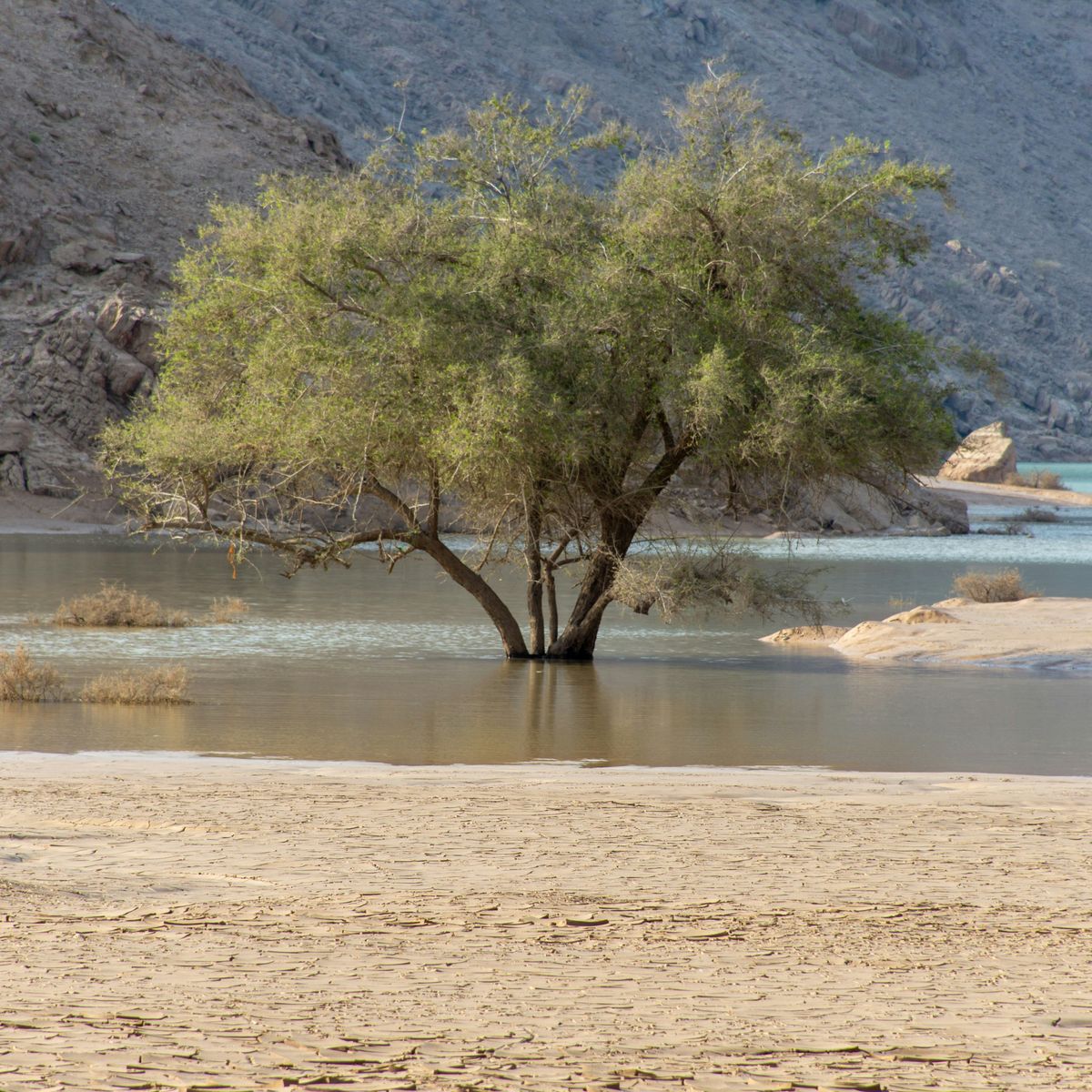 Climate change may be fuelling a resurgence of piracy across Africa