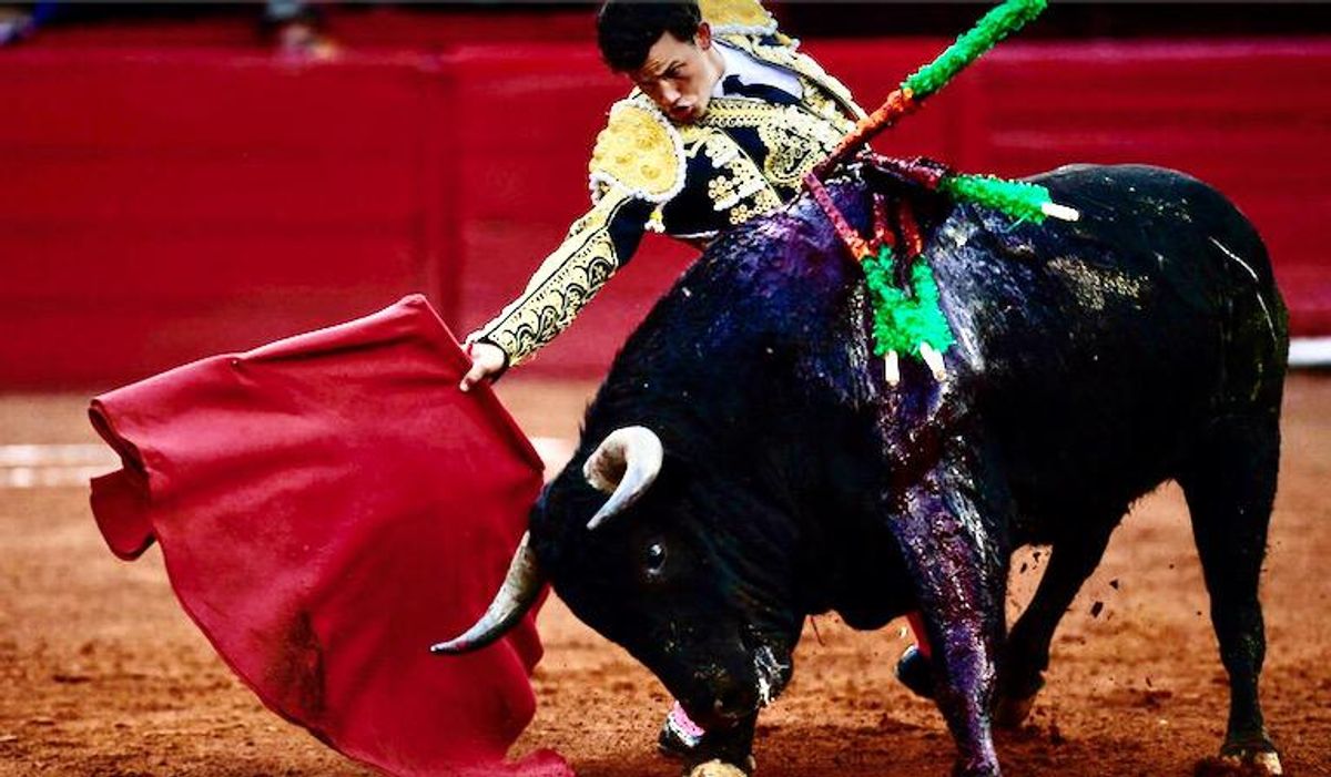 Colombia congress passes bill banning bullfighting