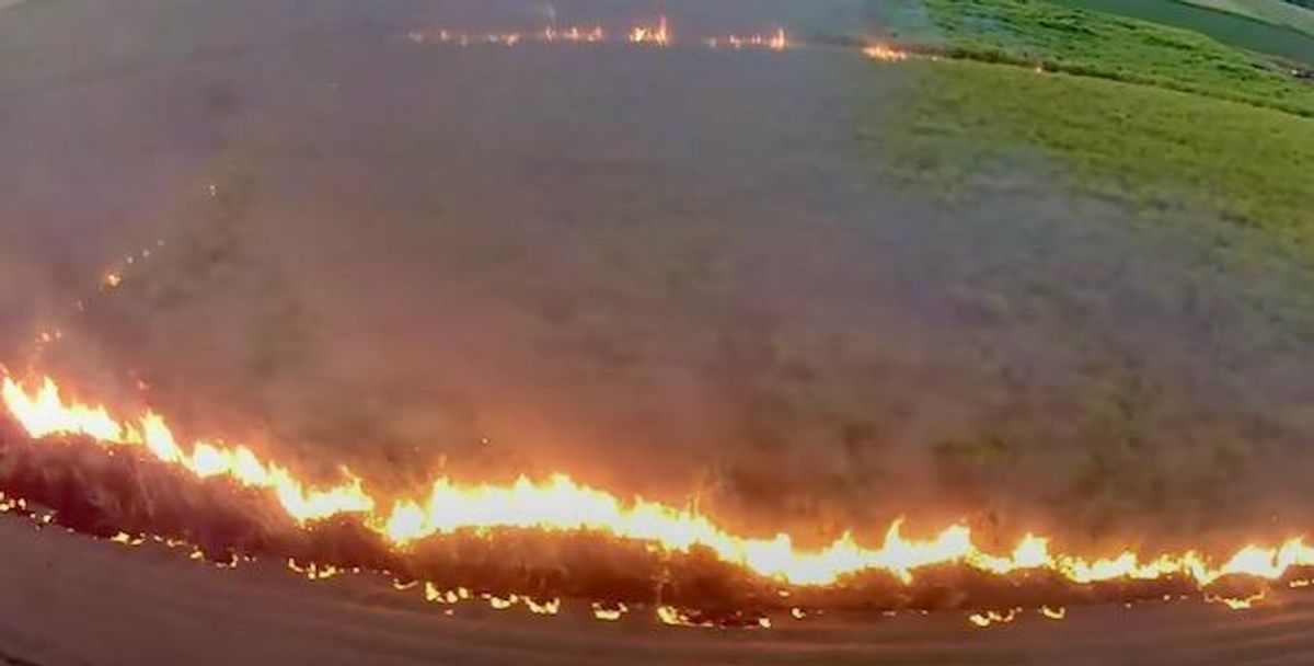 'A complete failure of the state': Authorities didn’t heed researchers’ calls to study health effects of burning sugar cane