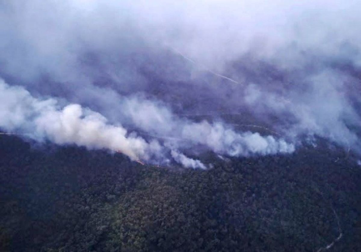 Fast-moving fires torch national parks in southeast Australia