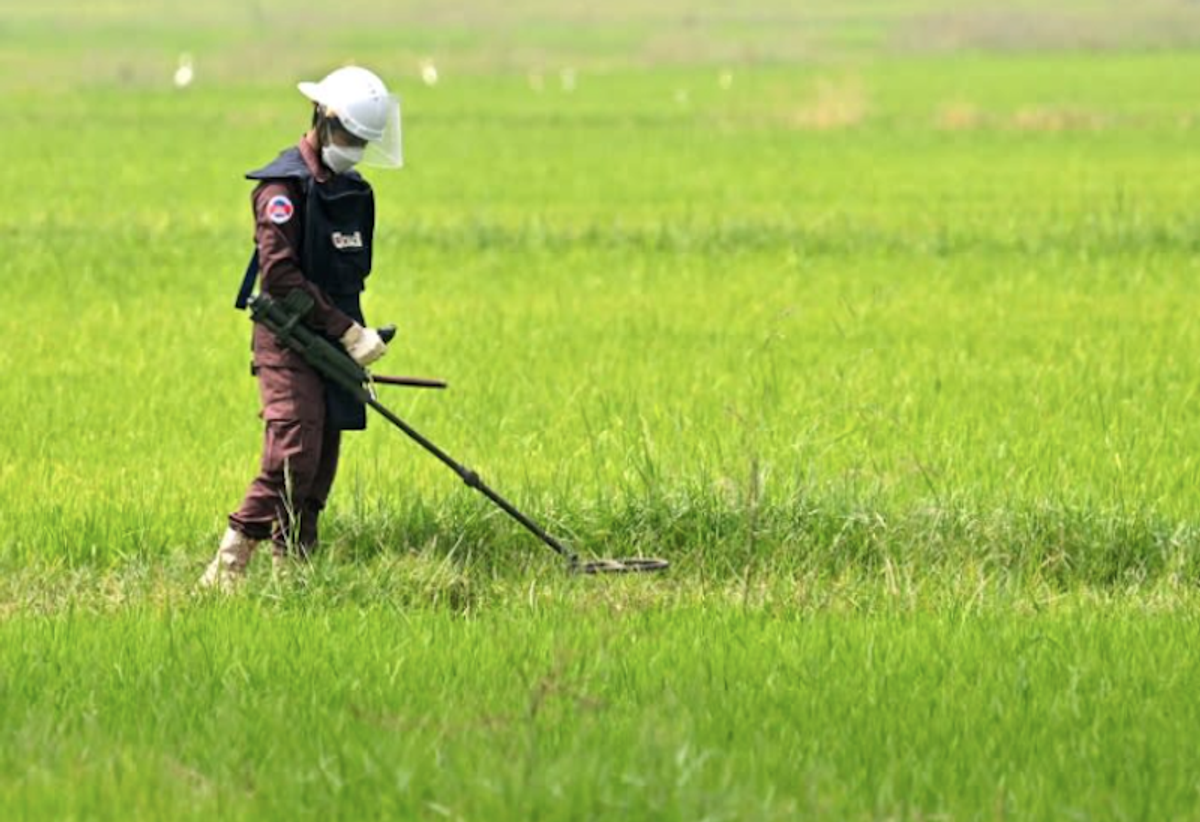 Cambodian farmers risk lives for rice as U.S. freezes demining aid